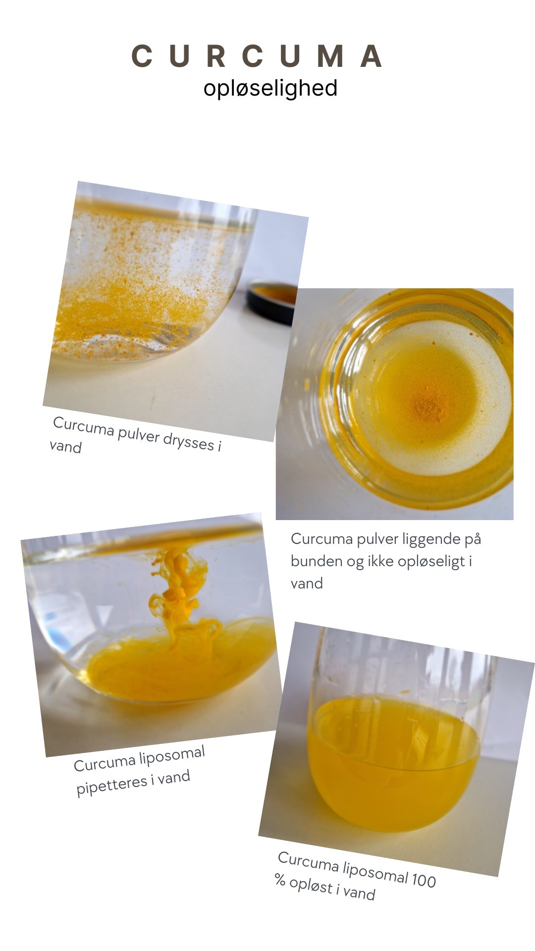 liposomal curcuma og pulver curcumas opløsning i vand